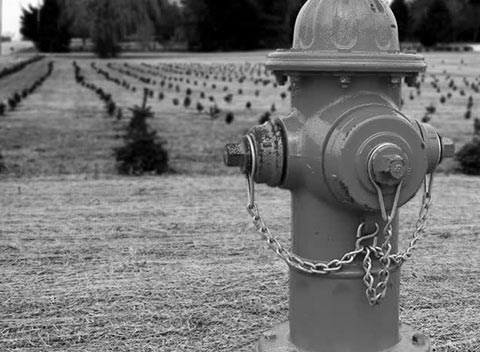 网络ddos监测分析工具